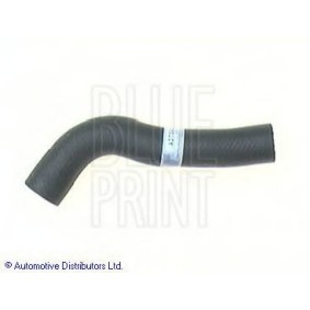 Acquista Manicotto radiatore da BLUE PRINT online per LAND CRUISER Hardtop (_J7_) a prezzi moderati