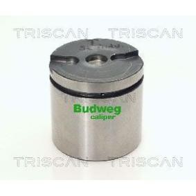 Kolben, Bremssattel 8170 235473 von TRISCAN günstig für 44,08 € online kaufen