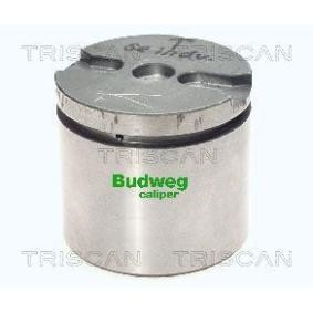 Kolben, Bremssattel 8170 235733 von TRISCAN günstig für 21,37 € online kaufen