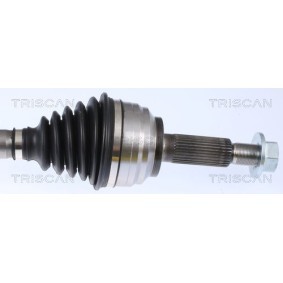 Dichtungssatz, Kurbelgehäuse 595-1761 von TRISCAN günstig für 79,78 € online kaufen