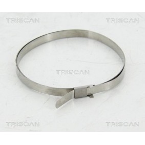 Dichtungssatz, Kurbelgehäuse 595-7207 von TRISCAN günstig für 86,54 € online kaufen