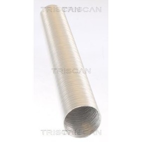 Dichtungssatz, Kurbelgehäuse 595-85101 von TRISCAN günstig für 30,18 € online kaufen