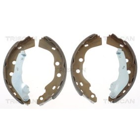 Bremsscheibe 8120 25175 von TRISCAN günstig für 51,13 € online kaufen
