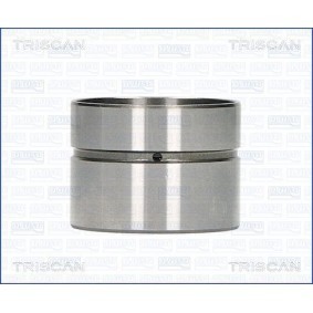 Hydrostößel 80-11002 von TRISCAN günstig für 15,65 € online kaufen