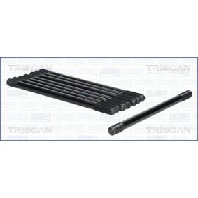 Zylinderkopfschraubensatz 98-1006 von TRISCAN günstig für 121,84 € online kaufen