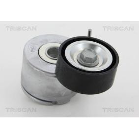 Spannrolle, Keilrippenriemen 8641 283006 von TRISCAN günstig für 108,71 € online kaufen
