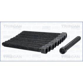 Zylinderkopfschraubensatz 98-8517 von TRISCAN günstig für 35,77 € online kaufen