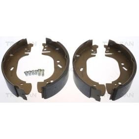 Bremsbackensatz 8100 10002 von TRISCAN günstig für 85,39 € online kaufen