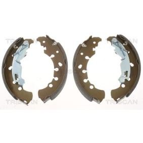 Comprar Juego de zapatas de frenos de TRISCAN 8100 10011 a bajo precio de 38,73 €
