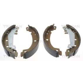Bremsbackensatz 8100 10021 von TRISCAN günstig für 35,52 € online kaufen
