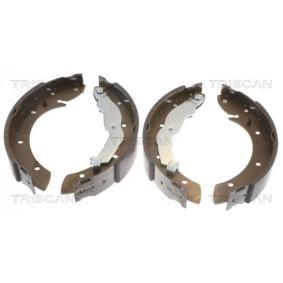 Bremsbackensatz 8100 10575 von TRISCAN günstig für 38,31 € online kaufen