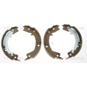 Comprar Zapata de freno de mano de TRISCAN 8100 18011 a bajo precio de 54,18 €