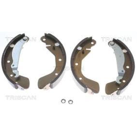 Bremsbackensatz 8100 24539 von TRISCAN günstig für 29,85 € online kaufen