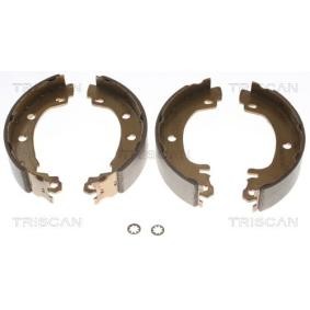Bremsbackensatz 8100 25003 von TRISCAN günstig für 31,06 € online kaufen