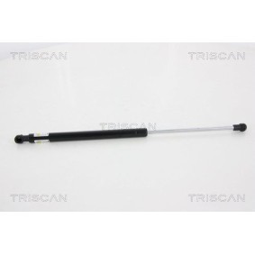 Bremsbackensatz, Feststellbremse 8100 68001 von TRISCAN günstig für 28,20 € online kaufen