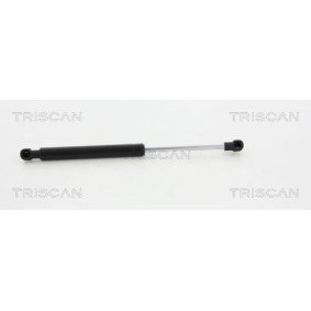 Bremsbeläge 8110 29008 von TRISCAN günstig für 22,52 € online kaufen
