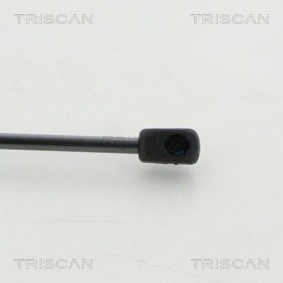 Bremsbeläge 8110 29011 von TRISCAN günstig für 17,58 € online kaufen