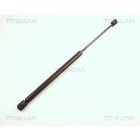 Bremsscheibe 8120 101016 von TRISCAN günstig für 47,03 € online kaufen