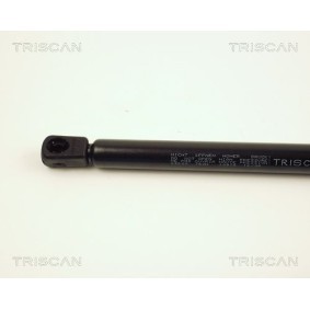 Bremsscheibe 8120 101017 von TRISCAN günstig für 48,16 € online kaufen