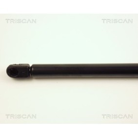 Bremsscheibe 8120 11127 von TRISCAN günstig für 46,14 € online kaufen