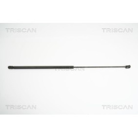 Bremsscheibe 8120 11175 von TRISCAN günstig für 51,90 € online kaufen