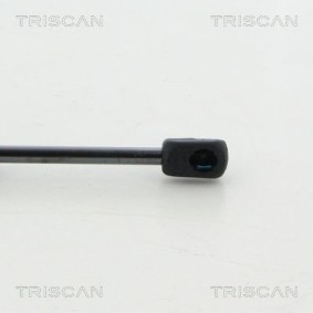 Bremstrommel 8120 14220 von TRISCAN günstig für 52,53 € online kaufen