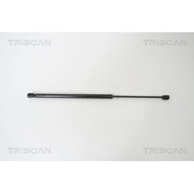 Bremsscheibe für MAZDA von TRISCAN