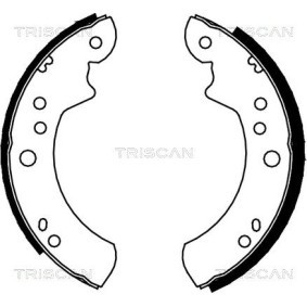 Bremsscheibe 8120 24133 von TRISCAN günstig für 25,86 € online kaufen