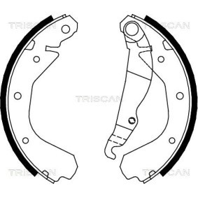 Bremsscheibe 8120 24160 von TRISCAN günstig für 46,76 € online kaufen