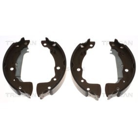 Bremstrommel 8120 43203 von TRISCAN günstig für 93,98 € online kaufen