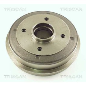 Bremsscheibe 8120 50157 von TRISCAN günstig für 22,21 € online kaufen