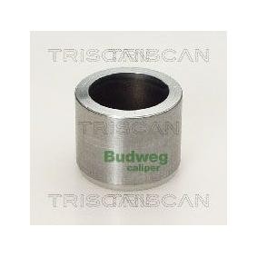 Kolben, Bremssattel 8170 233622 von TRISCAN günstig für 19,50 € online kaufen