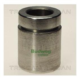 Kolben, Bremssattel 8170 233824 von TRISCAN günstig für 21,30 € online kaufen