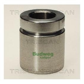 Kolben, Bremssattel 8170 234020 von TRISCAN günstig für 23,17 € online kaufen