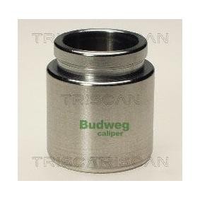 Kolben, Bremssattel 8170 234327 von TRISCAN günstig für 20,79 € online kaufen
