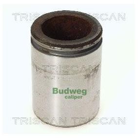 Comprar Émbolo, pinza del freno de TRISCAN 8170 234414 a bajo precio de 25,82 €