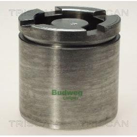 Kolben, Bremssattel 8170 235459 von TRISCAN günstig für 47,52 € online kaufen