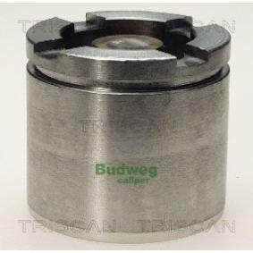 Kolben, Bremssattel 8170 235713 von TRISCAN günstig für 55,21 € online kaufen