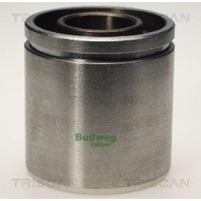 Comprar Émbolo, pinza del freno de TRISCAN 8170 236029 a bajo precio de 41,23 €
