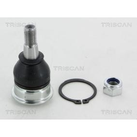Traggelenk von TRISCAN