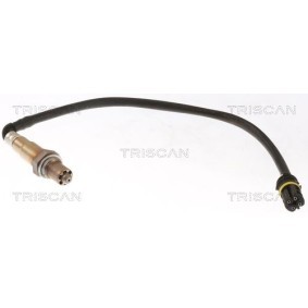 Radlagersatz 8530 29231 von TRISCAN günstig für 89,36 € online kaufen