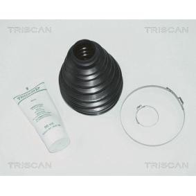 Acquista Kit cuffia, semiasse da TRISCAN 8540 10808 a buon mercato per soli 21,48 €