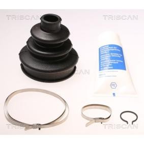 Acquista Kit cuffia, semiasse da TRISCAN 8540 15805 a buon mercato per soli 11,65 €