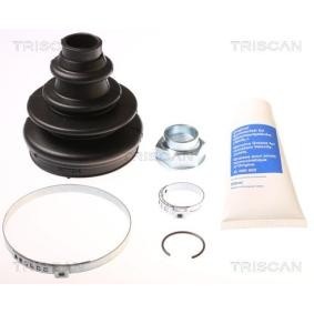 Acquista Kit cuffia, semiasse da TRISCAN 8540 15807 a buon mercato per soli 15,10 €