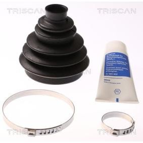 Acquista Kit cuffia, semiasse da TRISCAN 8540 15815 a buon mercato per soli 15,77 €
