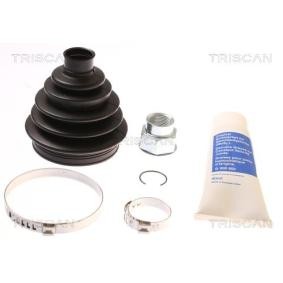 Acquista Kit cuffia, semiasse da TRISCAN 8540 15816 a buon mercato per soli 19,73 €