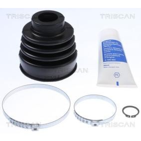Acquista Kit cuffia, semiasse da TRISCAN 8540 15903 a buon mercato per soli 11,85 €
