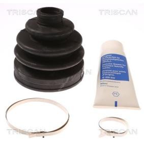 Acquista Kit cuffia, semiasse da TRISCAN 8540 15904 a buon mercato per soli 11,85 €