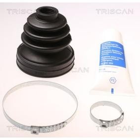 Acquista Kit cuffia, semiasse da TRISCAN 8540 15917 a buon mercato per soli 31,33 €