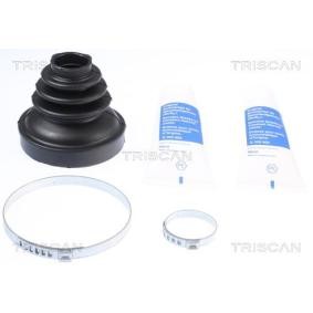 Acquista Kit cuffia, semiasse da TRISCAN 8540 15921 a buon mercato per soli 29,06 €
